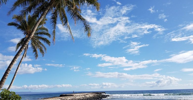 Ada Nyiur di Pantai